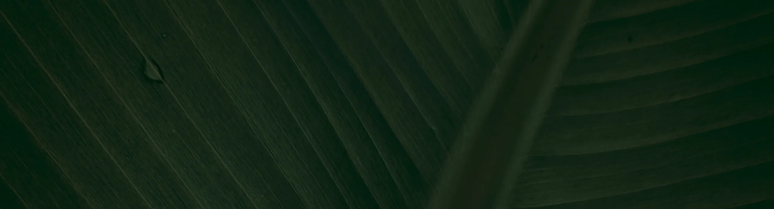 Terrasheater 13000 Watt